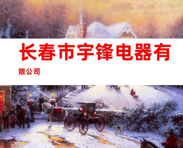 长春市宇锋电器有限公司